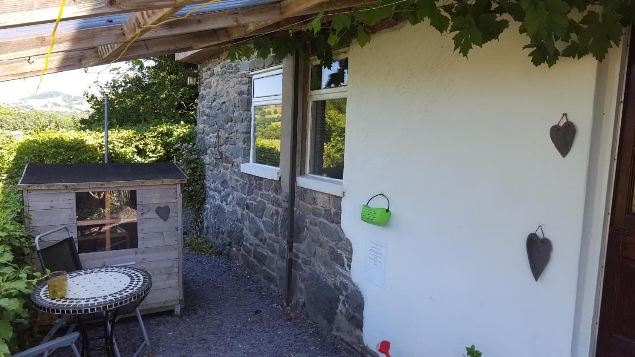 Pen Y Geulan Villa Machynlleth Luaran gambar